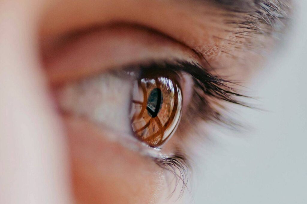 Budowa oka – jak działa nasz narząd wzroku?